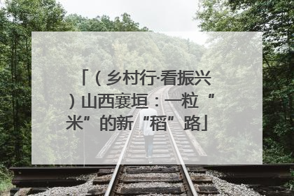 （乡村行·看振兴）山西襄垣：一粒“米”的新“稻”路