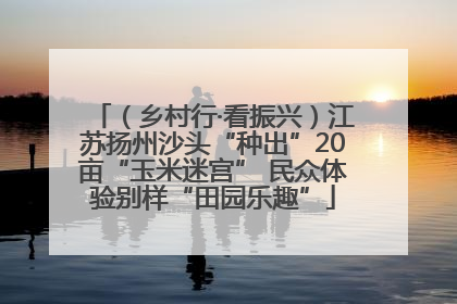 （乡村行·看振兴）江苏扬州沙头“种出”20亩“玉米迷宫” 民众体验别样“田园乐趣”