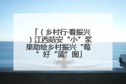 （乡村行·看振兴）江西靖安“小”浆果助绘乡村振兴“莓”好“蓝”图