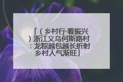 （乡村行·看振兴）浙江义乌何斯路村：龙粽越包越长折射乡村人气渐旺