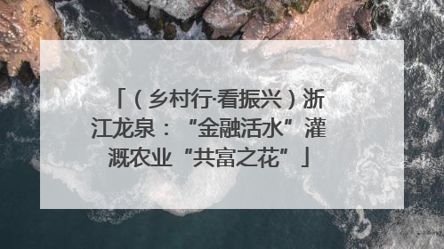 （乡村行·看振兴）浙江龙泉：“金融活水”灌溉农业“共富之花”