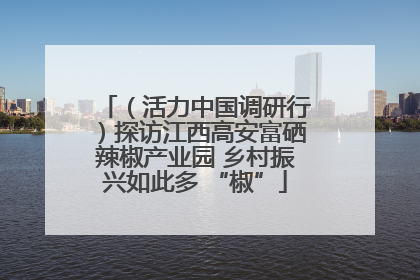 （活力中国调研行）探访江西高安富硒辣椒产业园 乡村振兴如此多 “椒”