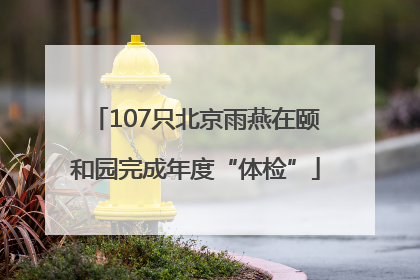 107只北京雨燕在颐和园完成年度“体检”