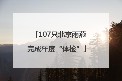 107只北京雨燕完成年度“体检”