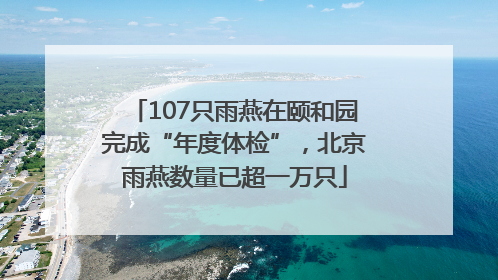 107只雨燕在颐和园完成“年度体检”，北京雨燕数量已超一万只