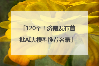 120个！济南发布首批AI大模型推荐名录