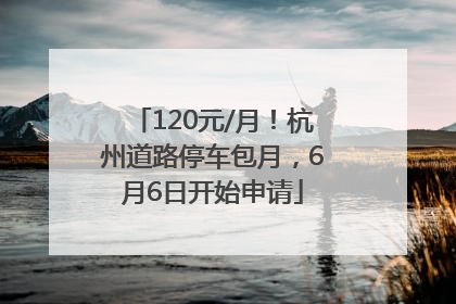 120元/月！杭州道路停车包月，6月6日开始申请