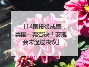 14国投赞成票，美国一票否决！安理会未通过决议