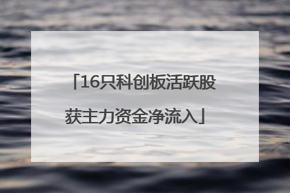 16只科创板活跃股获主力资金净流入