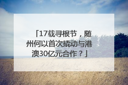 17载寻根节，随州何以首次撬动与港澳30亿元合作？