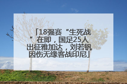 18强赛“生死战”在即，国足25人出征雅加达，刘若钒因伤无缘客战印尼