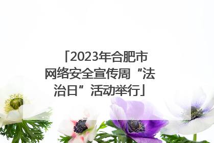 2023年合肥市网络安全宣传周“法治日”活动举行