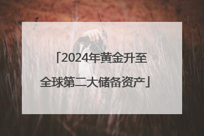 2024年黄金升至全球第二大储备资产