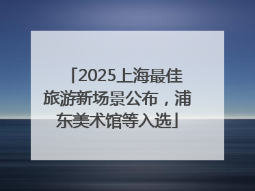 2025上海最佳旅游新场景公布，浦东美术馆等入选