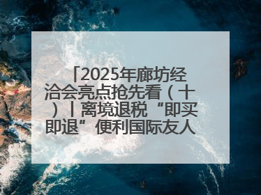 2025年廊坊经洽会亮点抢先看（十）丨离境退税“即买即退”便利国际友人“买买买”