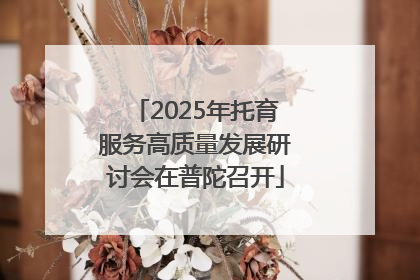 2025年托育服务高质量发展研讨会在普陀召开