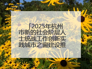 2025年杭州市新的社会阶层人士统战工作创新实践城市之窗建设推进会在拱墅召开