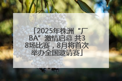 2025年株洲“厂BA”激情启幕 共38场比赛，8月将首次举办全国邀请赛
