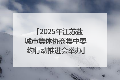 2025年江苏盐城市集体协商集中要约行动推进会举办