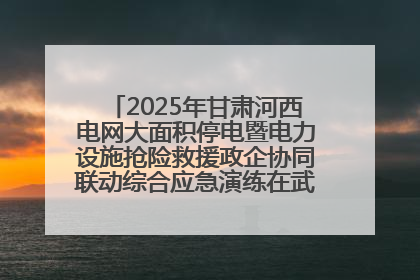2025年甘肃河西电网大面积停电暨电力设施抢险救援政企协同联动综合应急演练在武威成功举行