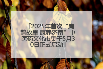 2025年首次“扁鹊故里 康养济南”中医药文化市集于5月30日正式启动