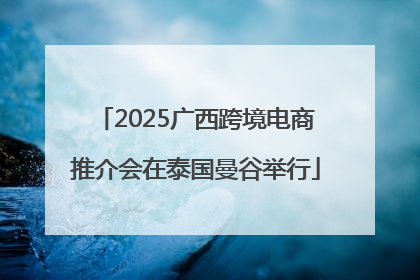 2025广西跨境电商推介会在泰国曼谷举行