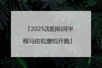 2025沈阳和河半程马拉松激情开跑