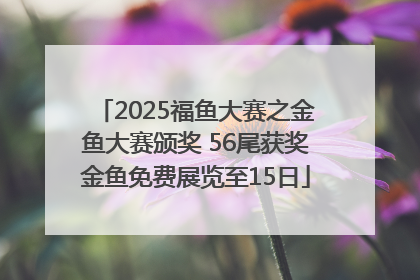 2025福鱼大赛之金鱼大赛颁奖 56尾获奖金鱼免费展览至15日
