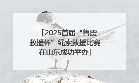 2025首届“鲁震救援杯”绳索救援比赛在山东成功举办