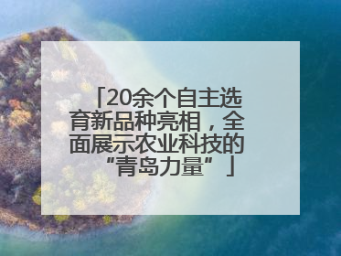 20余个自主选育新品种亮相，全面展示农业科技的“青岛力量”