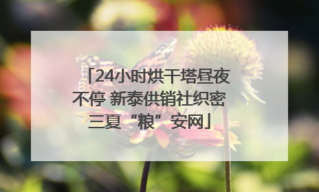 24小时烘干塔昼夜不停 新泰供销社织密三夏“粮”安网