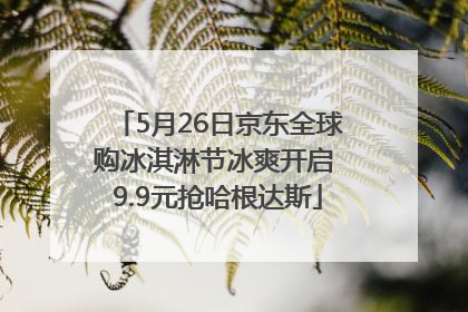 5月26日京东全球购冰淇淋节冰爽开启 9.9元抢哈根达斯