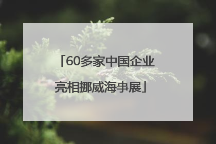 60多家中国企业亮相挪威海事展