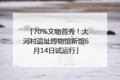 70%文物首秀！大河村遗址博物馆新馆6月14日试运行