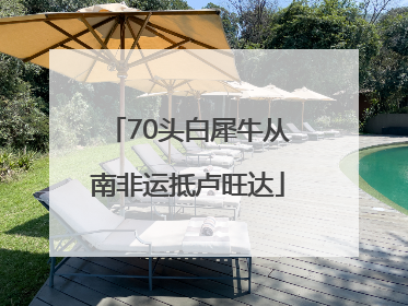 70头白犀牛从南非运抵卢旺达