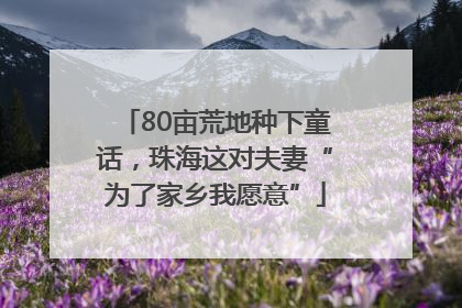 80亩荒地种下童话，珠海这对夫妻“为了家乡我愿意”