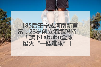 85后王宁成河南新首富，23岁创立泡泡玛特！旗下Labubu全球爆火“一娃难求”