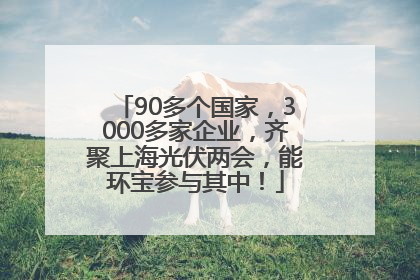 90多个国家，3000多家企业，齐聚上海光伏两会，能环宝参与其中！