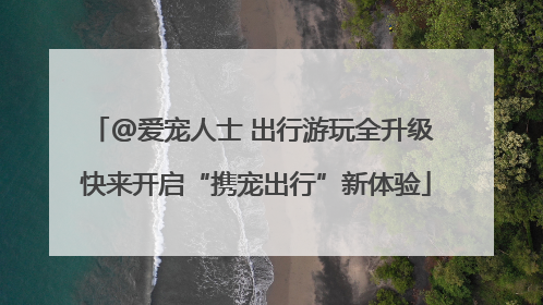 @爱宠人士 出行游玩全升级 快来开启“携宠出行”新体验