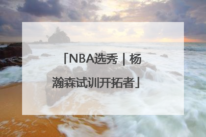NBA选秀｜杨瀚森试训开拓者