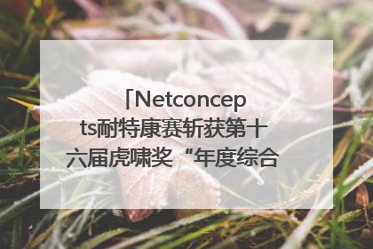 Netconcepts耐特康赛斩获第十六届虎啸奖“年度综合服务商”大奖