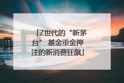 Z世代的“新茅台” 基金重金押注的新消费狂飙